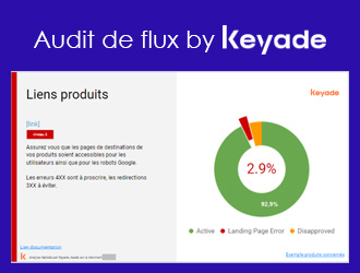 Audit de flux